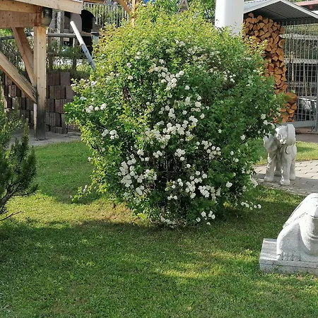 Apartamento Rosmarie