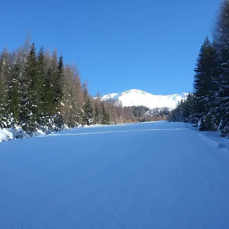 Rosmarie