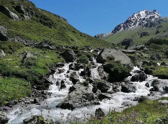 公寓 罗斯玛丽公寓 *