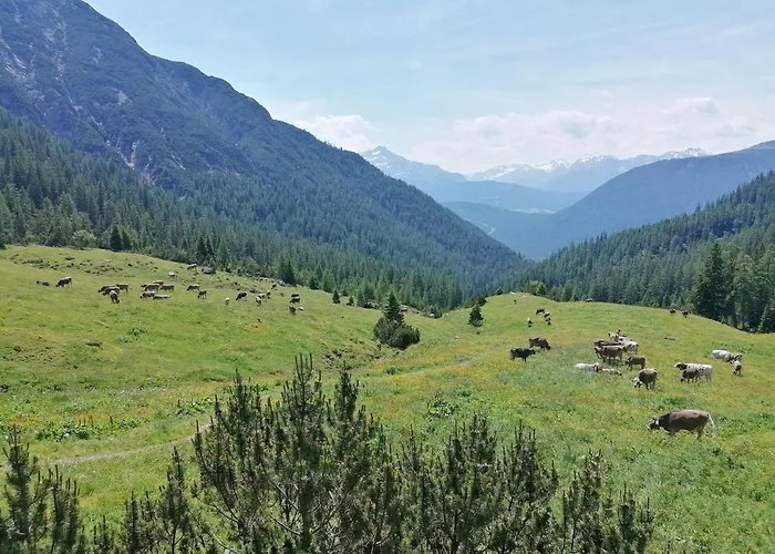 罗斯玛丽公寓 公寓