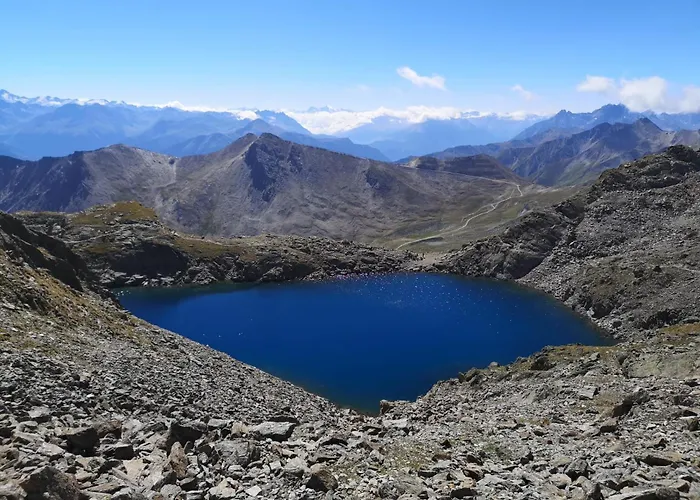 公寓 罗斯玛丽公寓 *