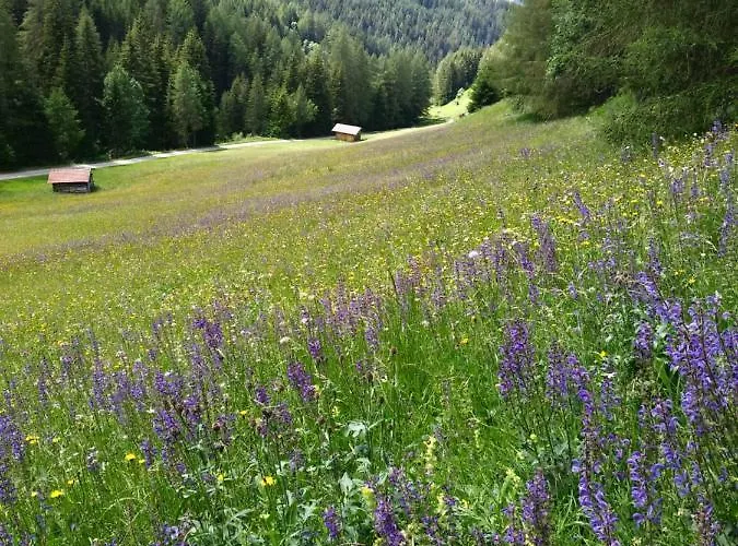 罗斯玛丽公寓 公寓