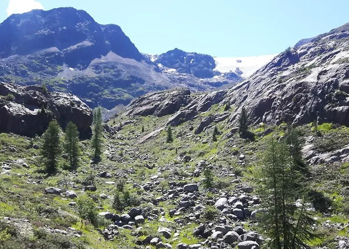 罗斯玛丽公寓 * 芬德尔斯